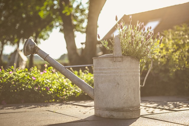 Les engrais liquides sont distribués dans l'eau d'arrosage. Les engrais liquides sont distribués dans l'eau d'arrosage.