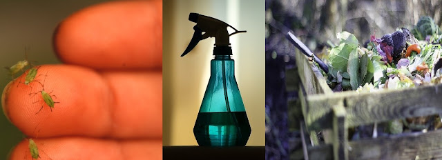 12 engrais et pesticides organiques à faire soi-même contre les ravageurs du jardin 12 engrais et pesticides organiques à faire soi-même contre les ravageurs du jardin