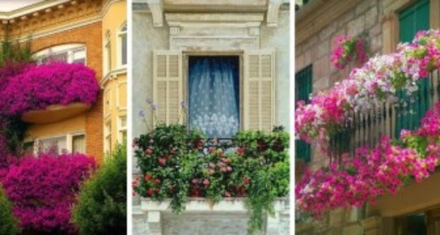 Jardin et paysage Jardin et paysage