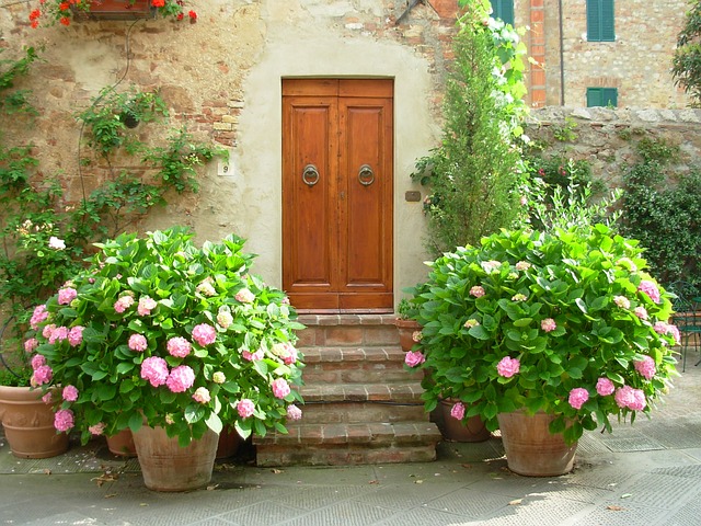 4 conseils à suivre pour avoir de beaux hortensias luxuriants et colorés dans votre maison 4 conseils à suivre pour avoir de beaux hortensias luxuriants et colorés dans votre maison