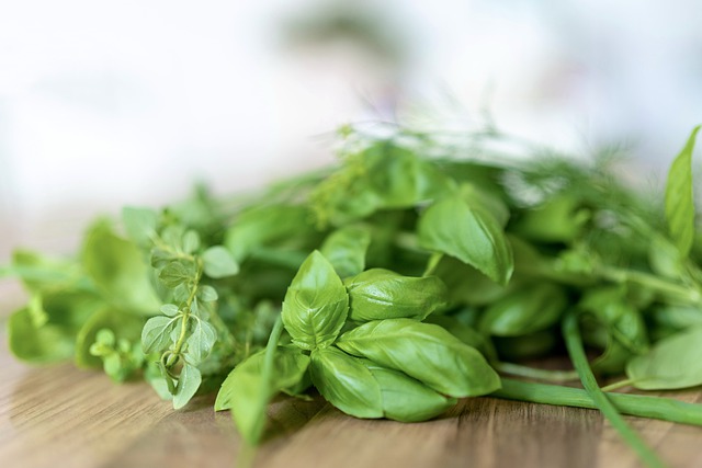 basilic basilic